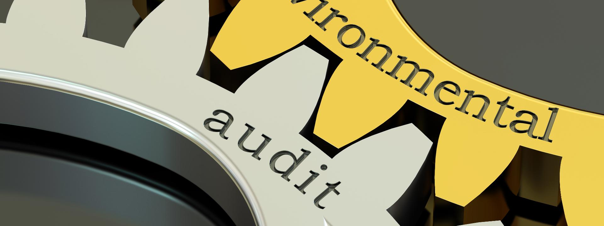 Auditing Services for Sales of Kyoto Units