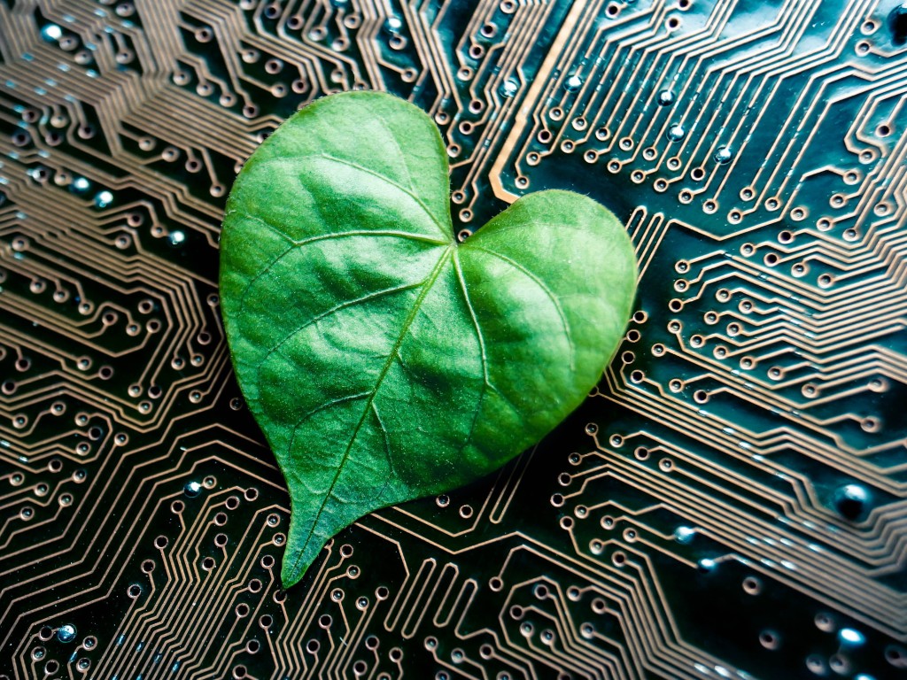 Green Product Mark Certification for Electrical Products