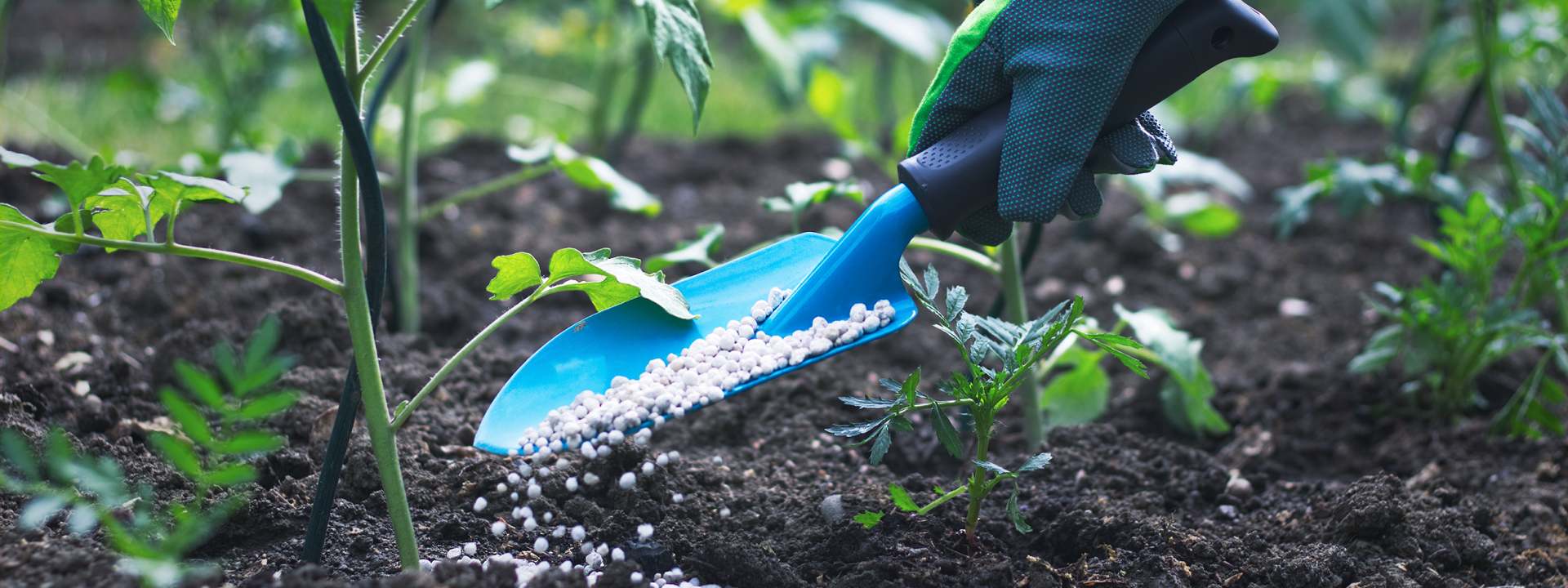 Accurate and Reliable Solutions for Fertilizers